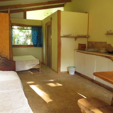 Cabanas Moenga Hanga Roa Oda fotoğraf