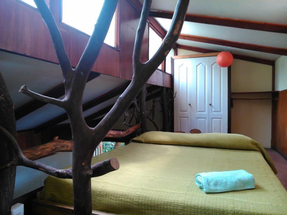 Cabanas Moenga Hanga Roa Oda fotoğraf